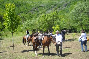 parco-cavalli