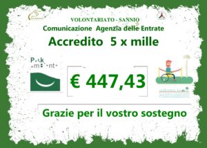 5xmille