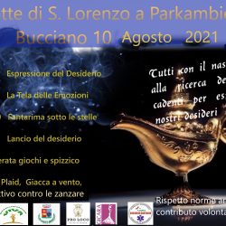 Notte delle stelle