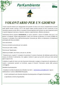 v5_InPixio