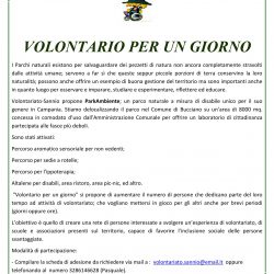 v5_InPixio